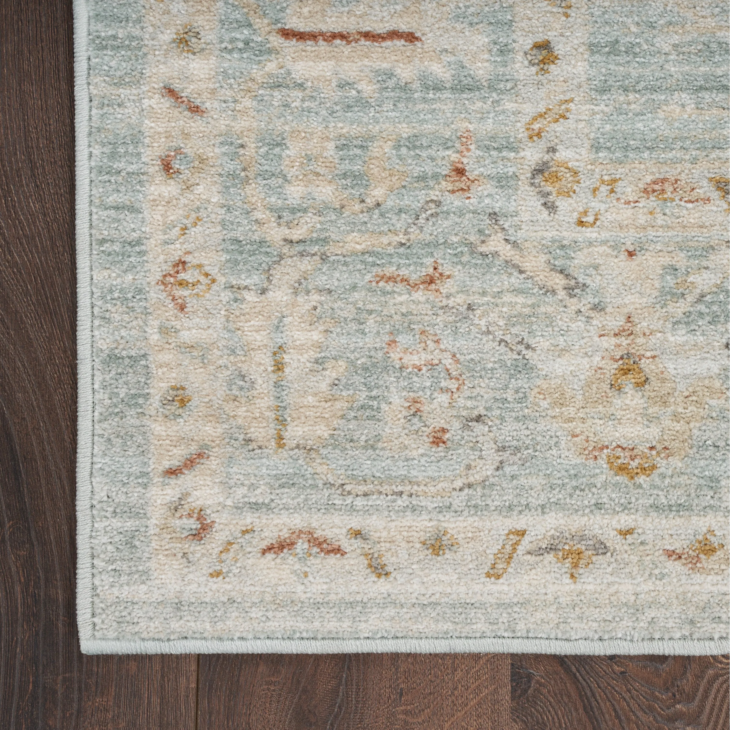 Nourison Traditional Home Indoor Persian Area Rug