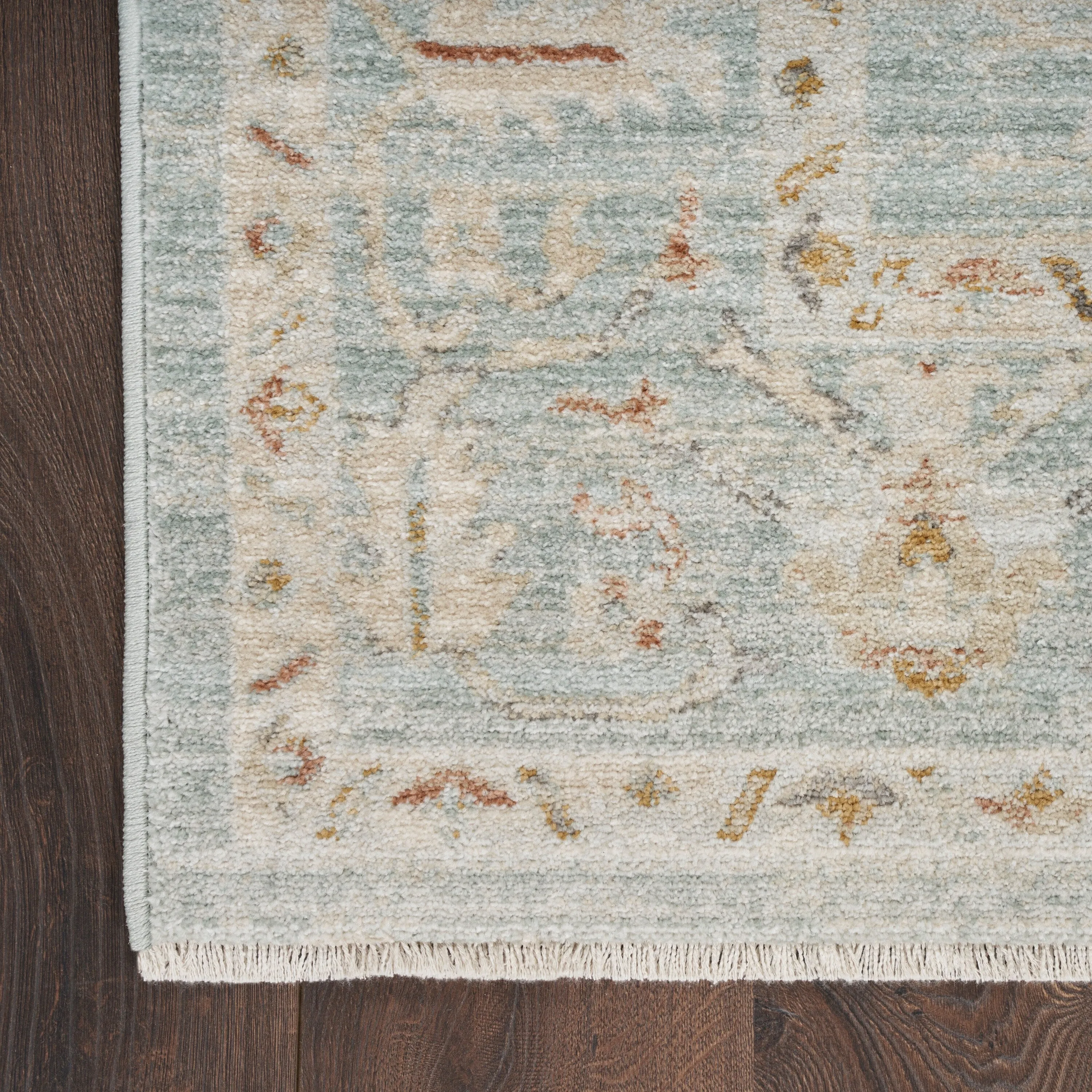 Nourison Traditional Home Indoor Persian Area Rug