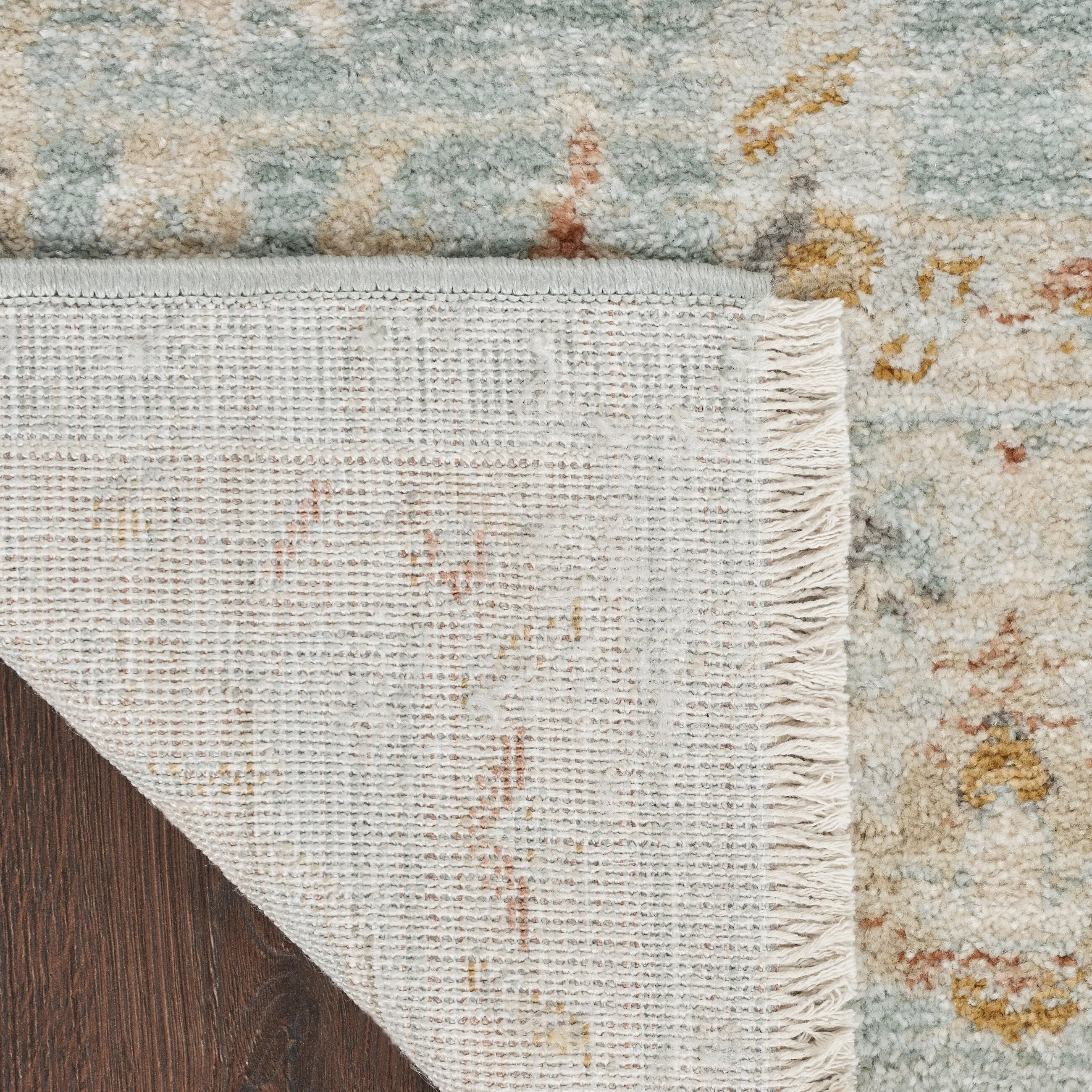 Nourison Traditional Home Indoor Persian Area Rug
