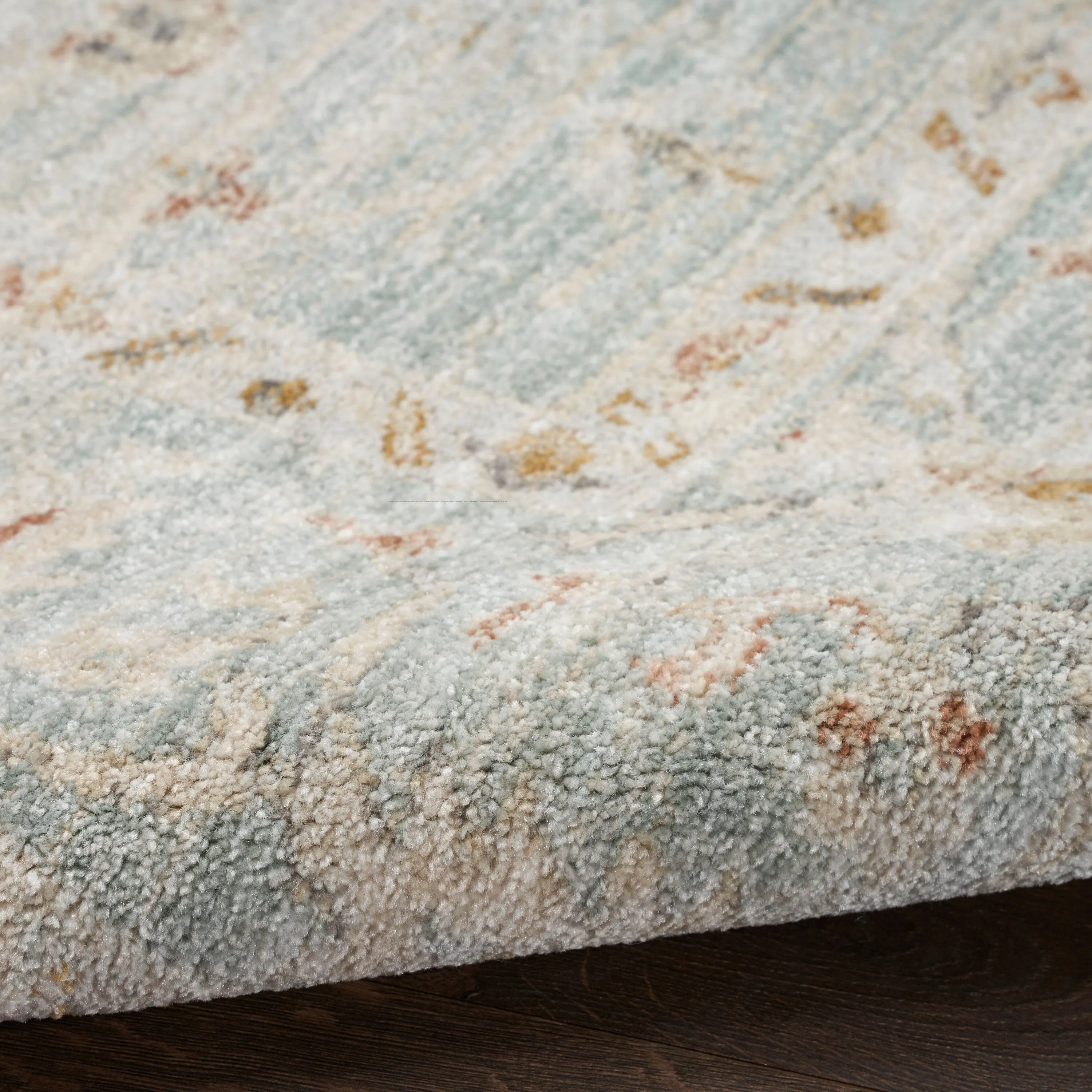 Nourison Traditional Home Indoor Persian Area Rug