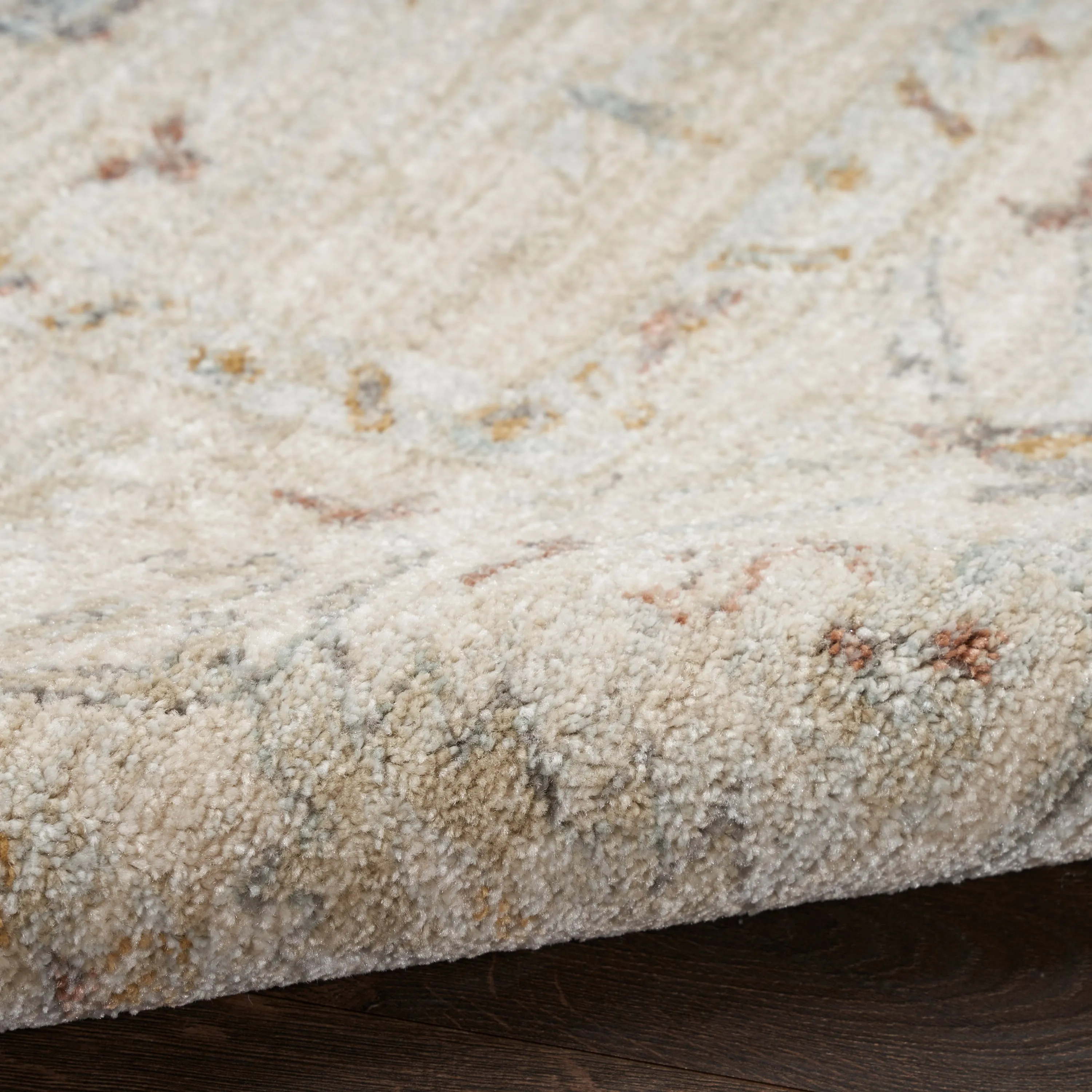 Nourison Traditional Home Indoor Persian Area Rug
