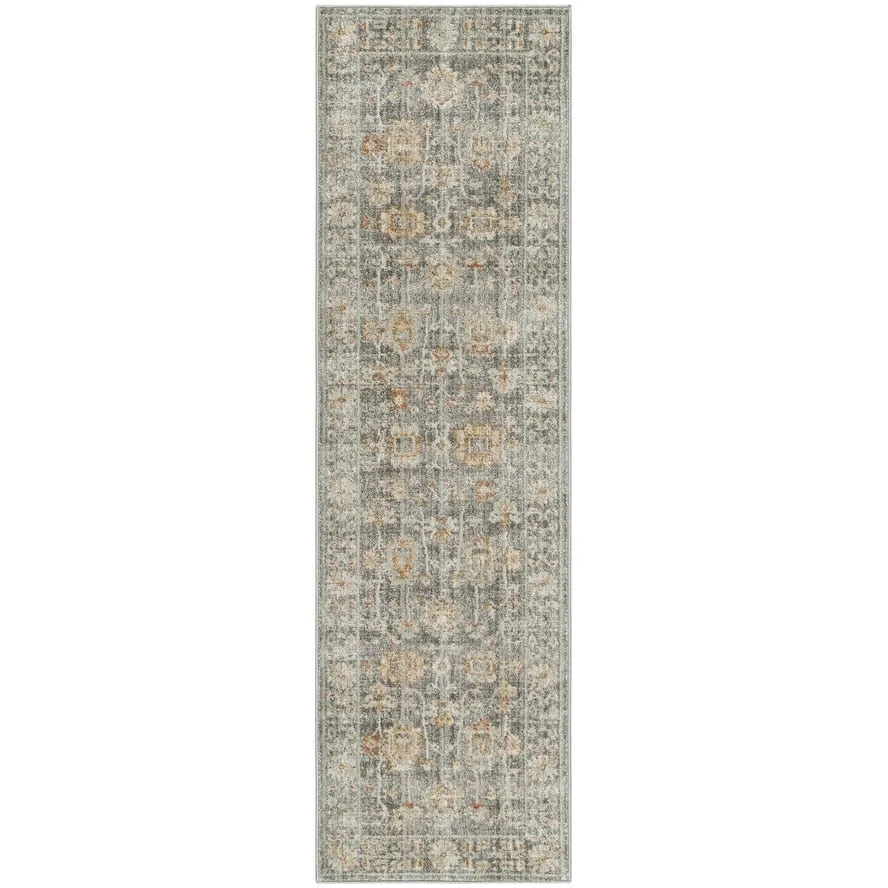 Nourison Traditional Home Indoor Persian Area Rug