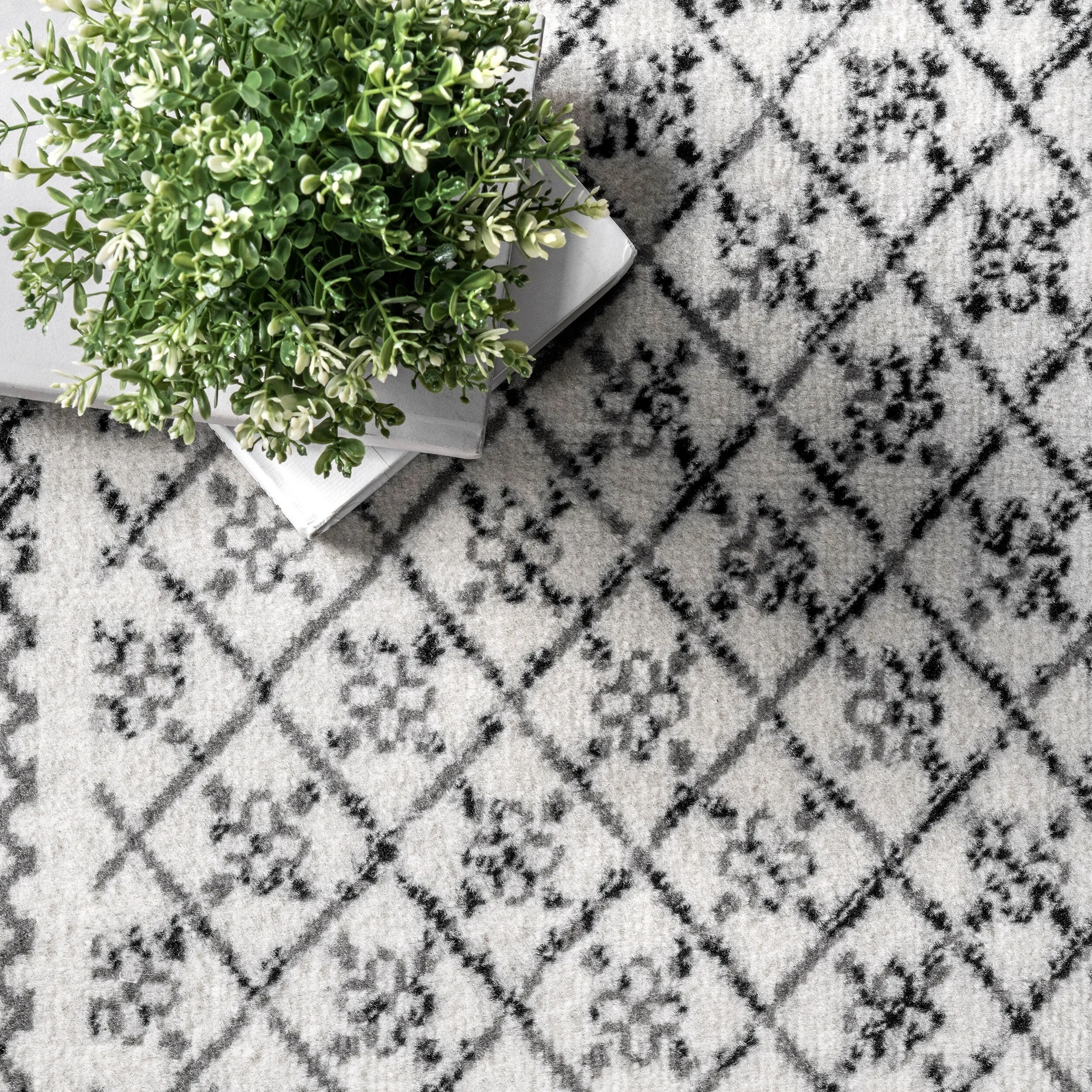 Nuloom Arabella Contemporary Bordered Area Rug