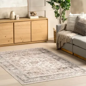 Nuloom Delisa Vintage Stain-Resistant Machine Washable Area Rug