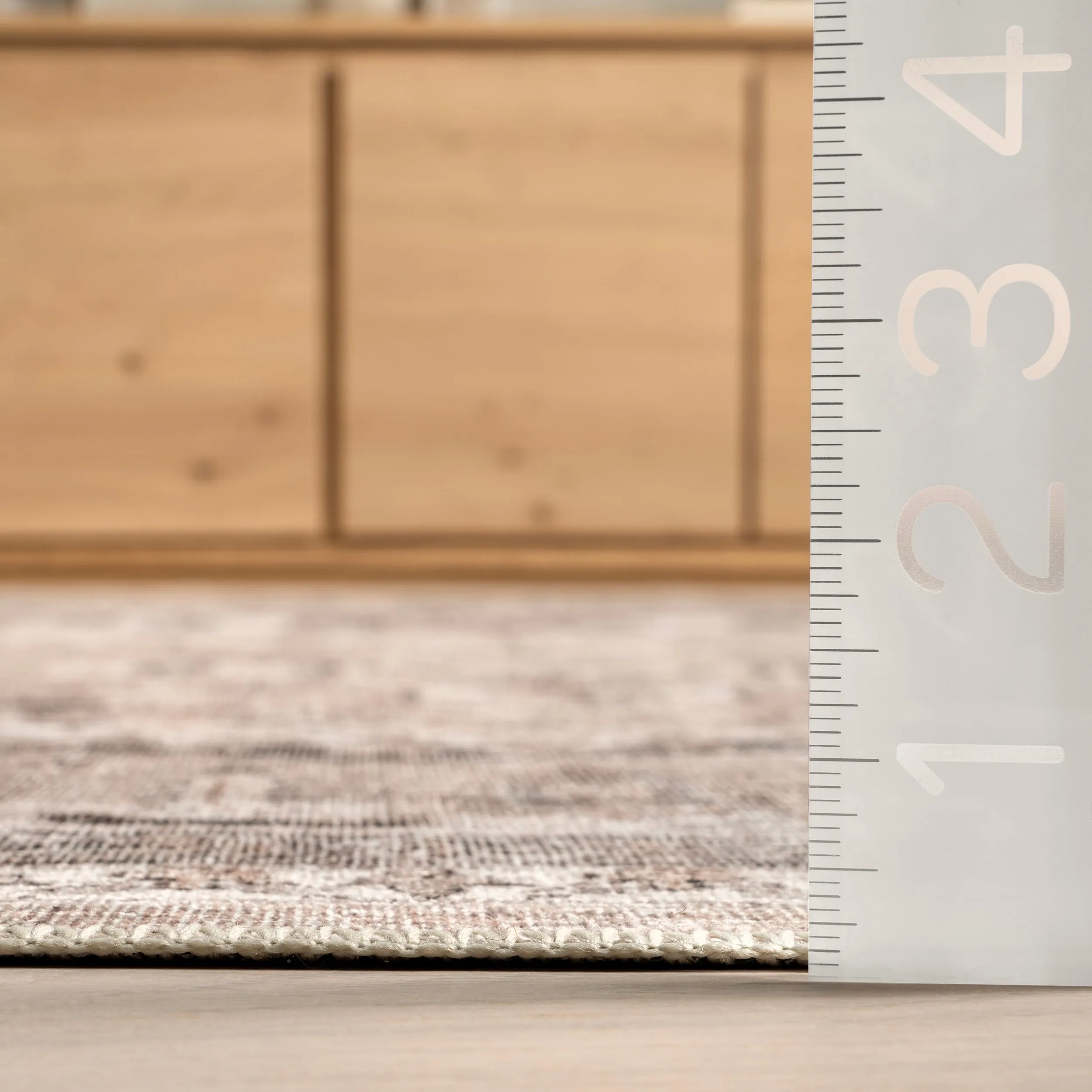 Nuloom Delisa Vintage Stain-Resistant Machine Washable Area Rug