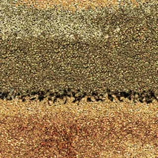 Orian Rugs Carolina Wild Dusk to Dawn Stain Resistant Area Rug