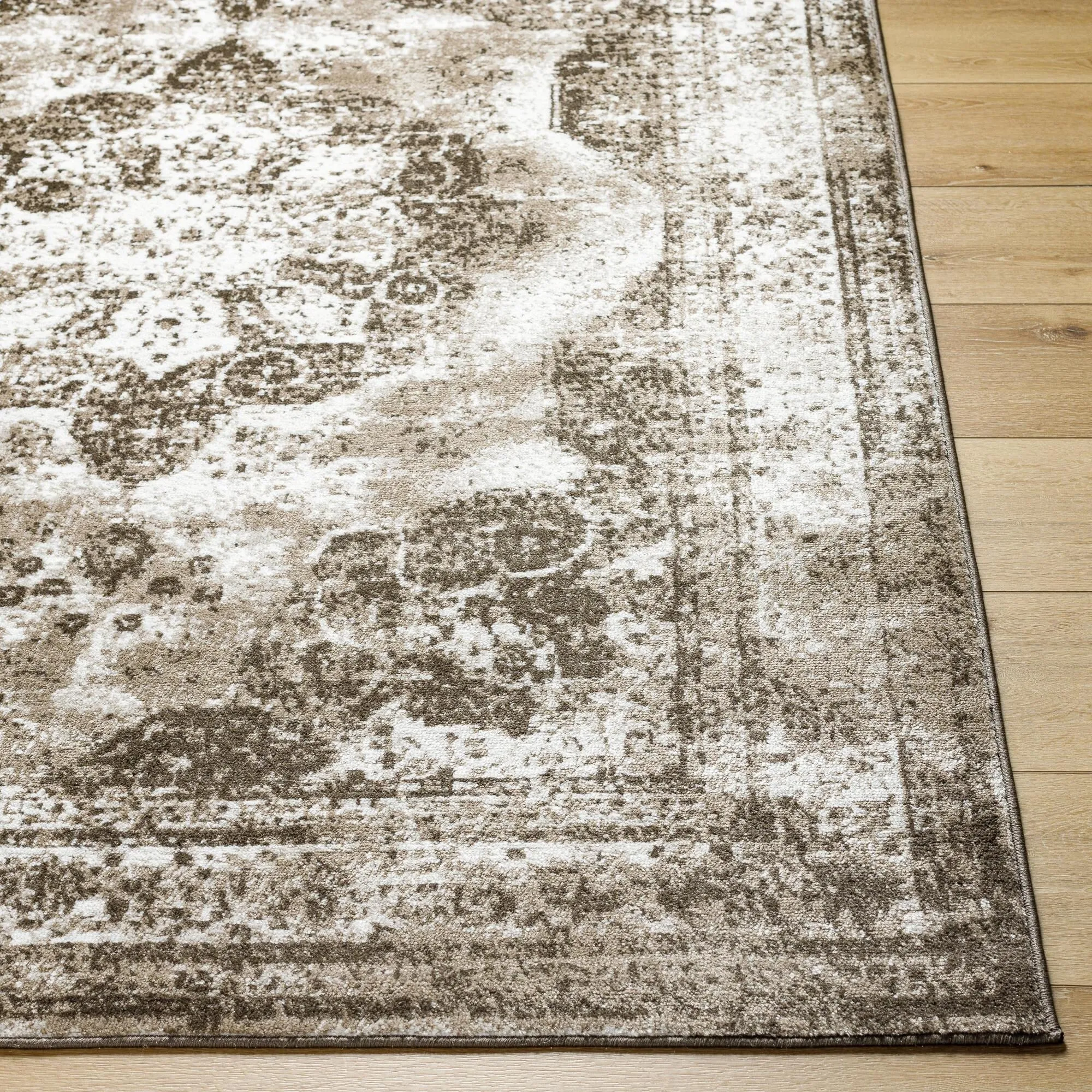 Otero Vintage Area Rug