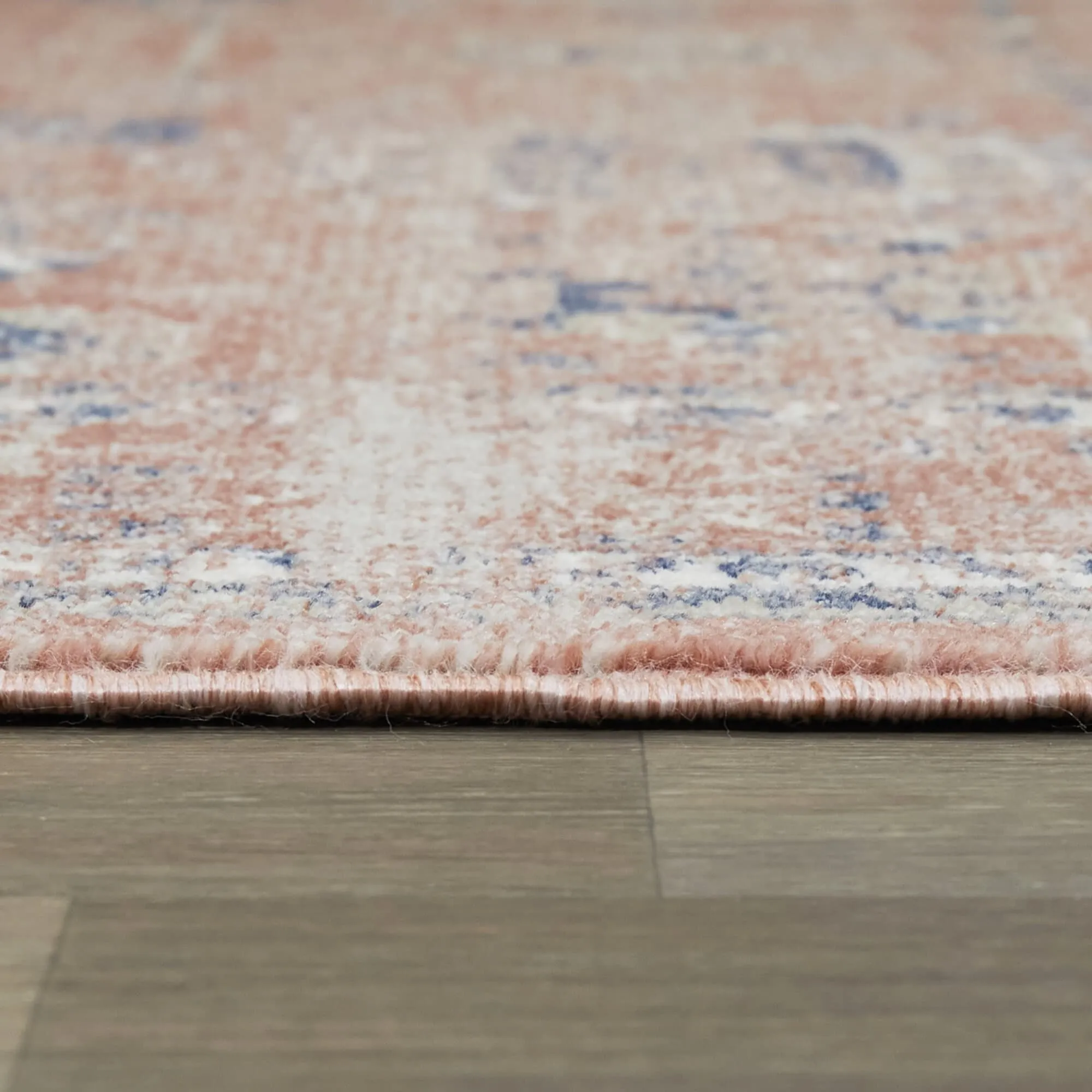 Pomeroy Vintage Oriental Medallion Area Rug