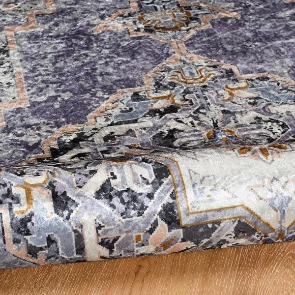 Porch & Den Toelle Distressed Medallion Pattern Area Rug