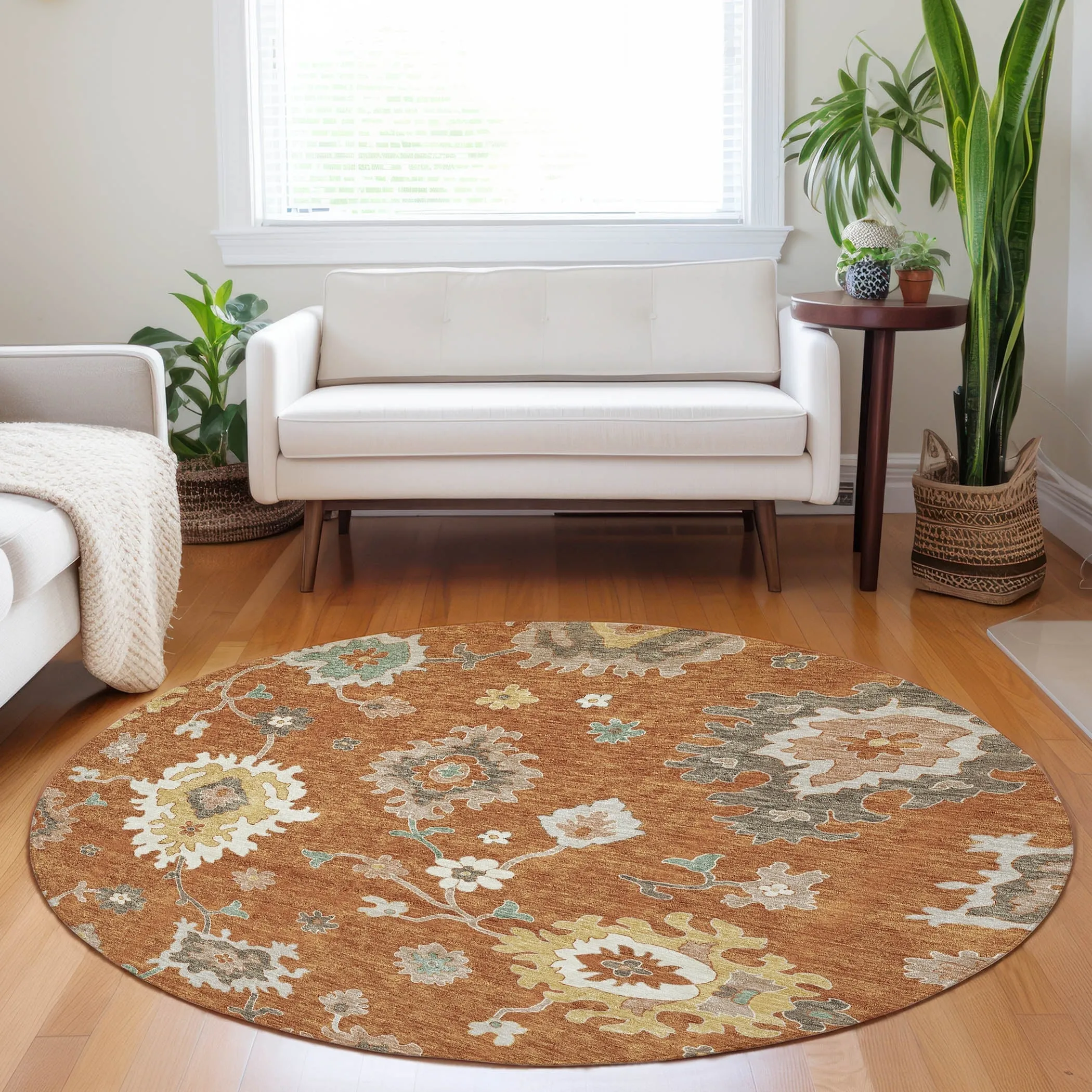 Premium Washable Super Soft Traditional Farmhouse Mayfield Rug
