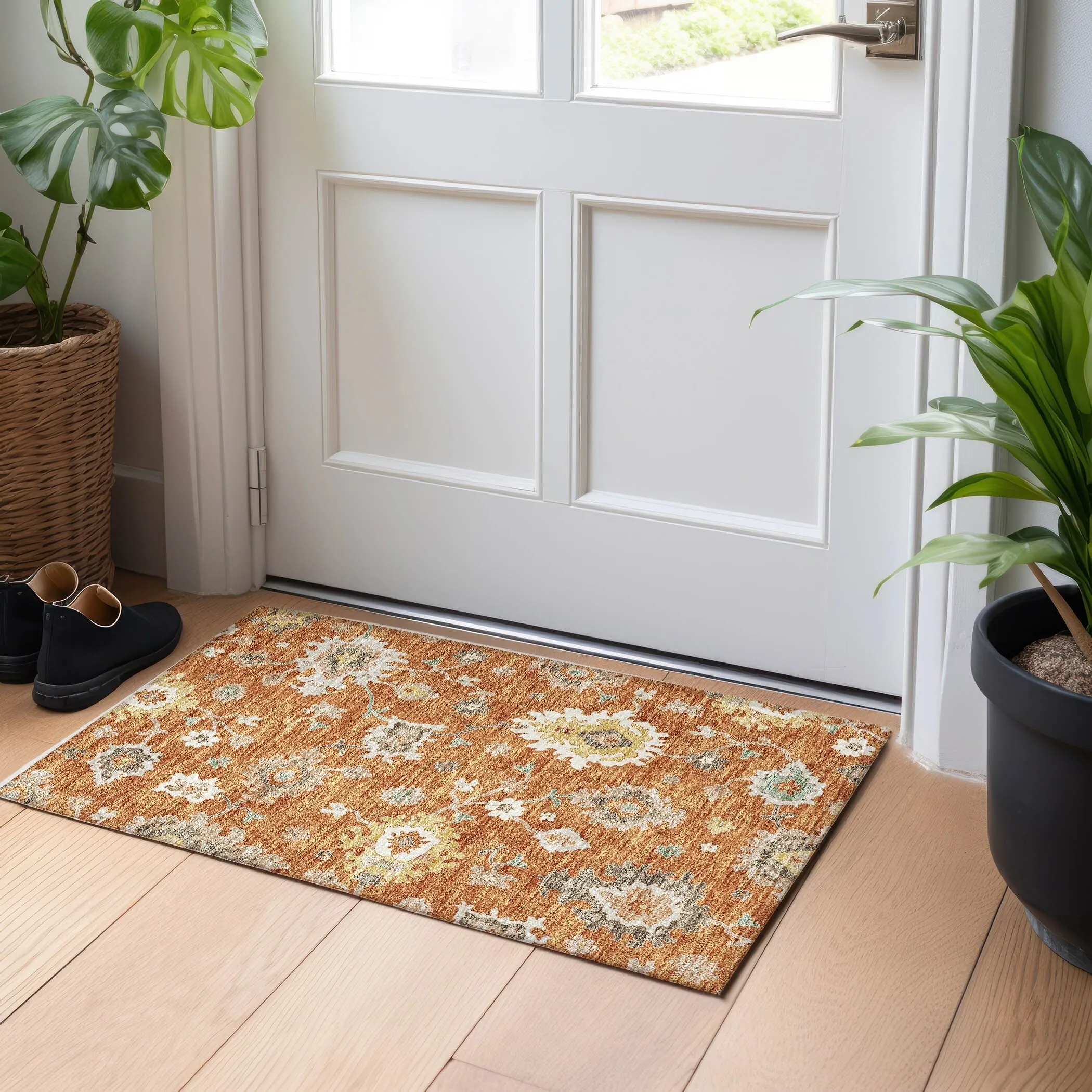 Premium Washable Super Soft Traditional Farmhouse Mayfield Rug