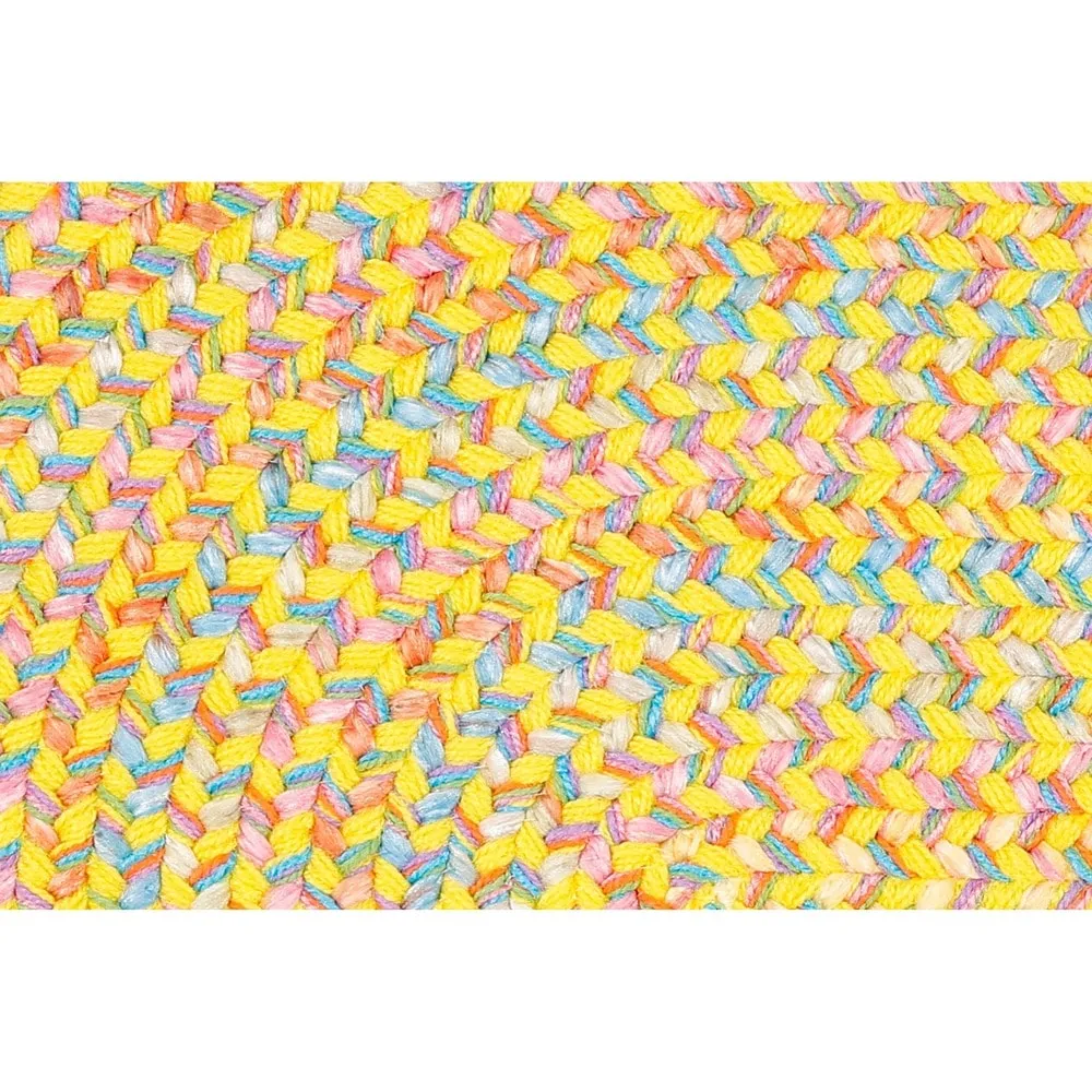 Rhody Rug Playful Indoor/Outdoor Braided Area Rug