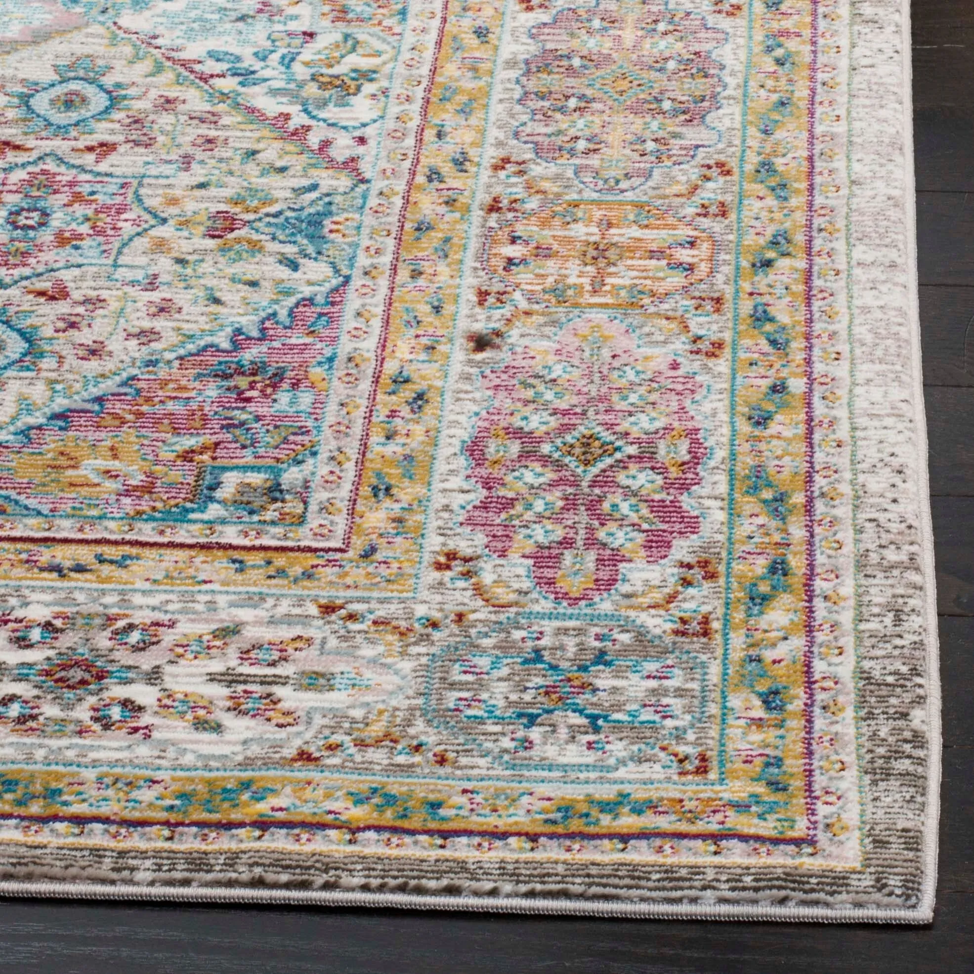 SAFAVIEH Aria Reinette Vintage Boho Oriental Rug