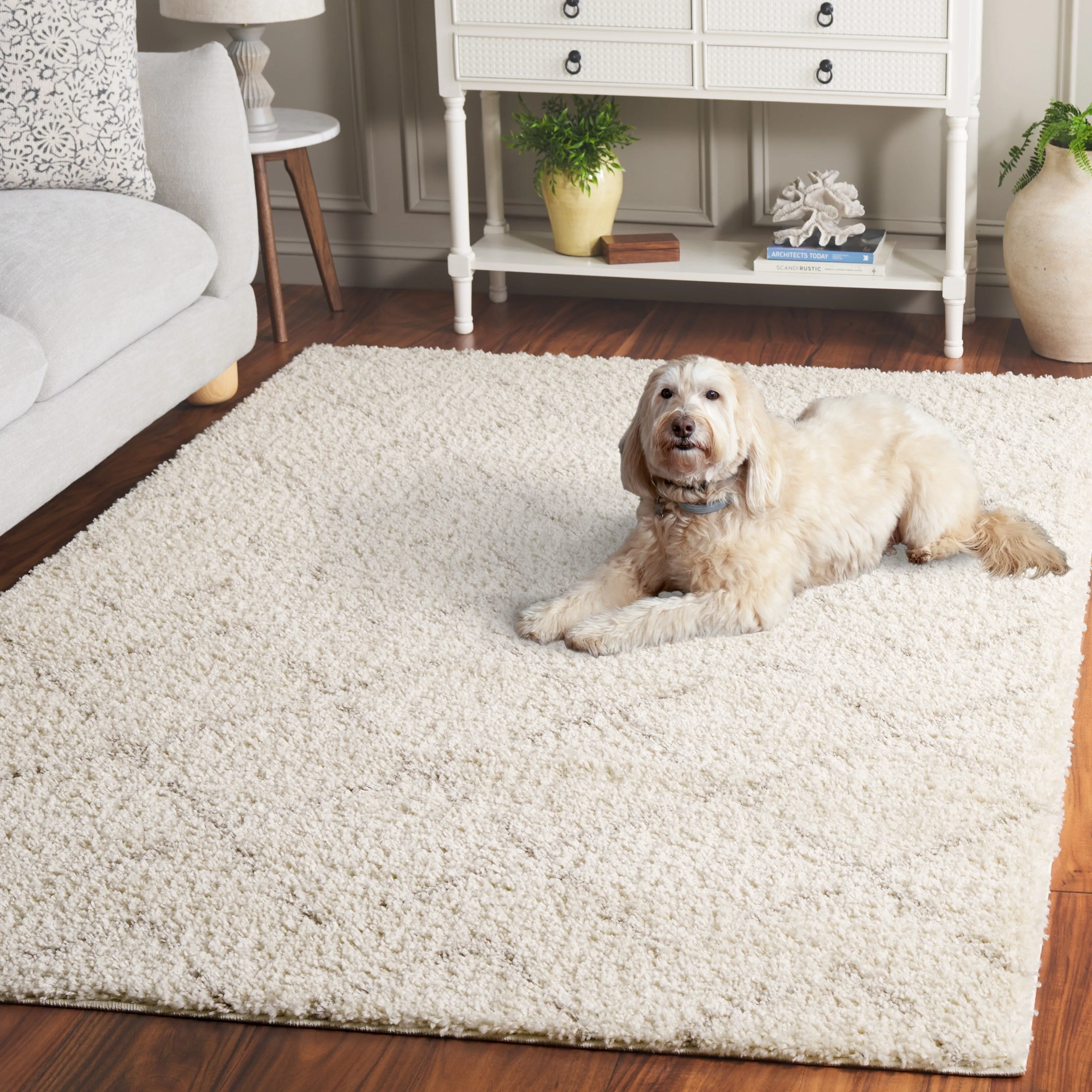 SAFAVIEH Arizona Shag Ghinwa 1.2-inch Thick Rug