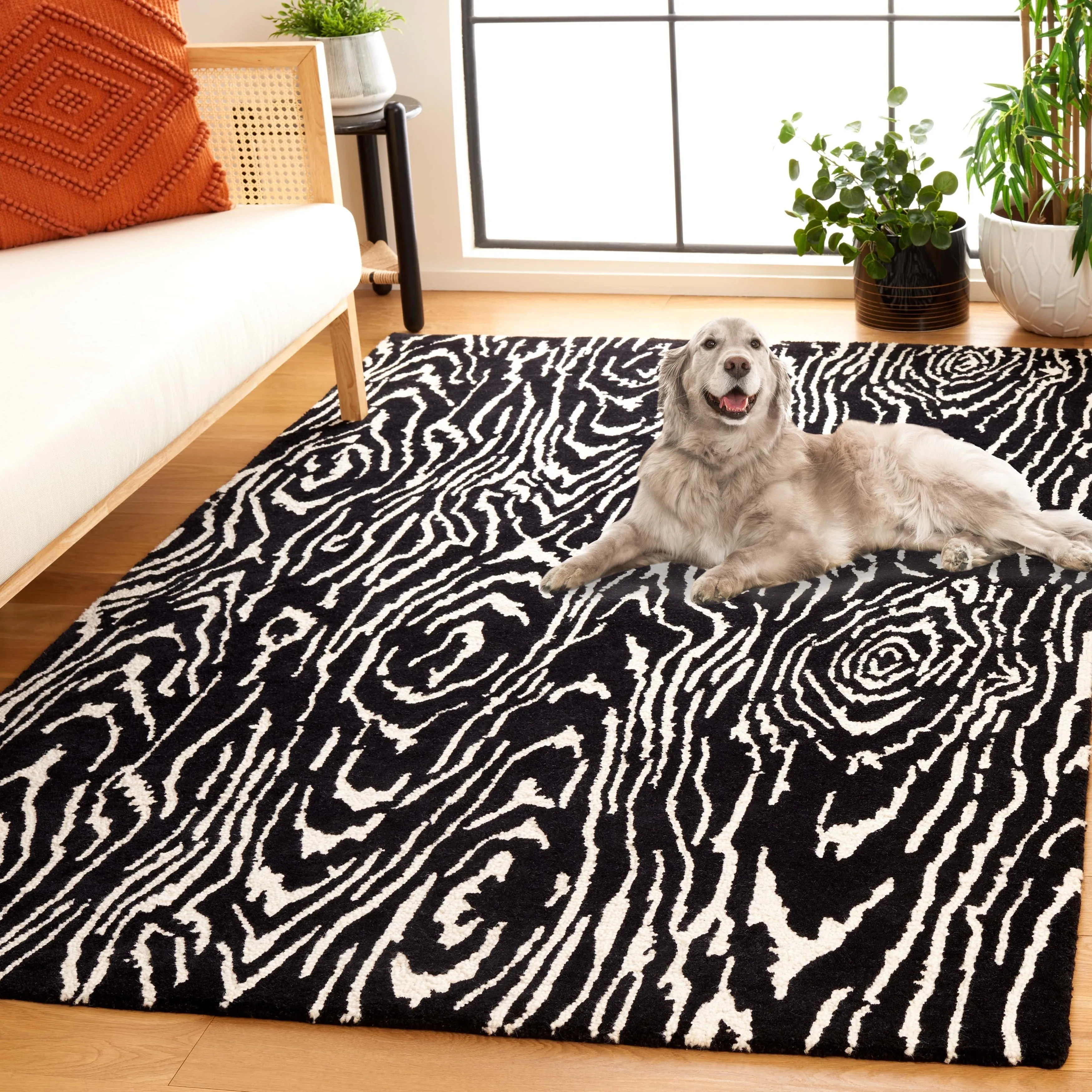 SAFAVIEH Handmade Ebony Thouraya Modern & Contemporary Wool Rug