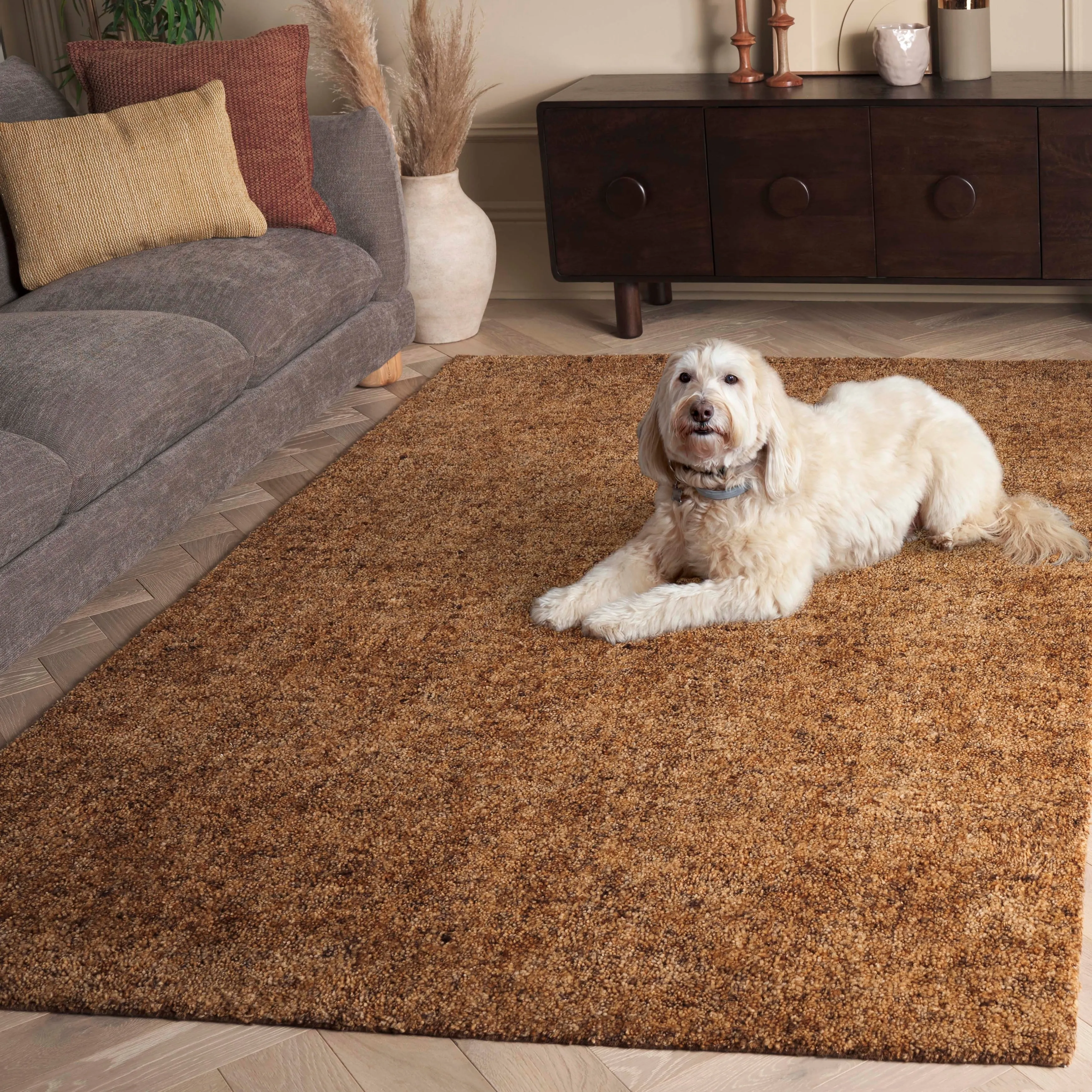 SAFAVIEH Handmade Gabbeh Andrina Wool Rug