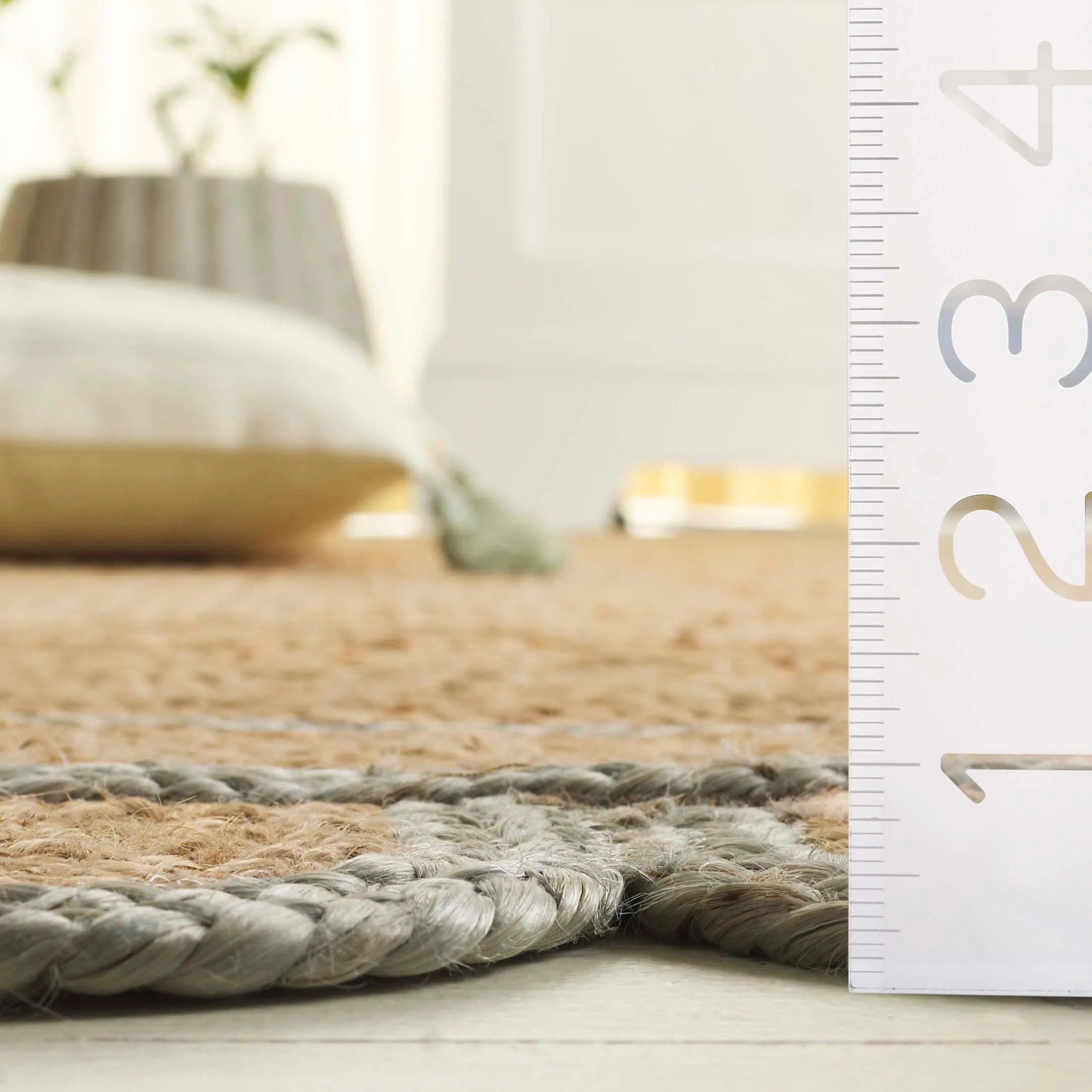 SAFAVIEH Handmade Natural Fiber Calcedonia Border Pattern Jute Rug
