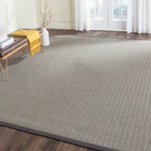 SAFAVIEH Handmade Natural Fiber Hildeburg Border Sisal Rug