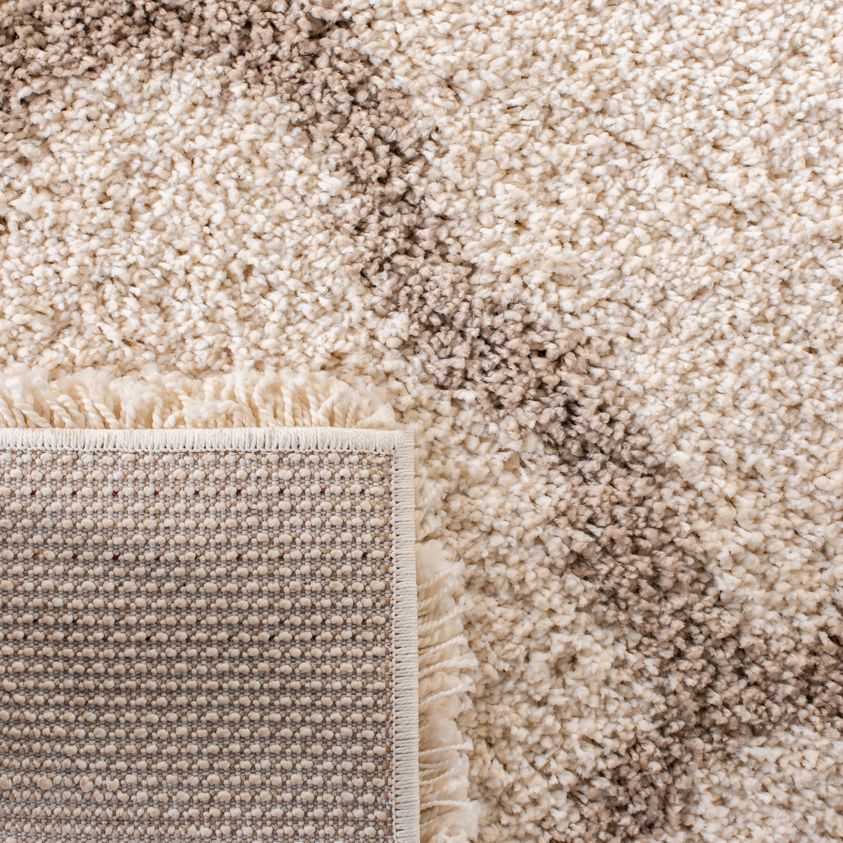 SAFAVIEH Hudson Shag Denese 2-inch Thick Rug