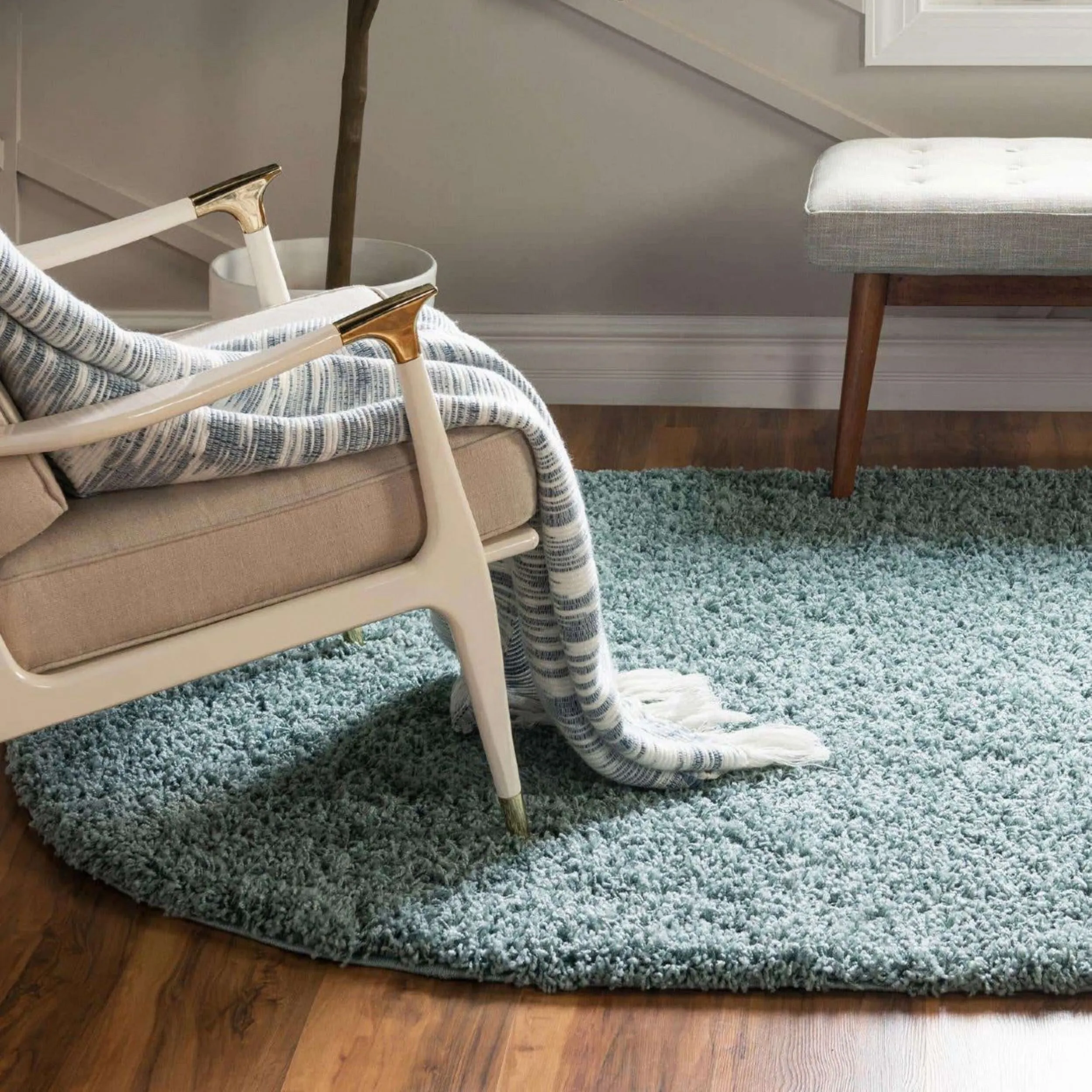 Shag Laurian Collection Area Rug