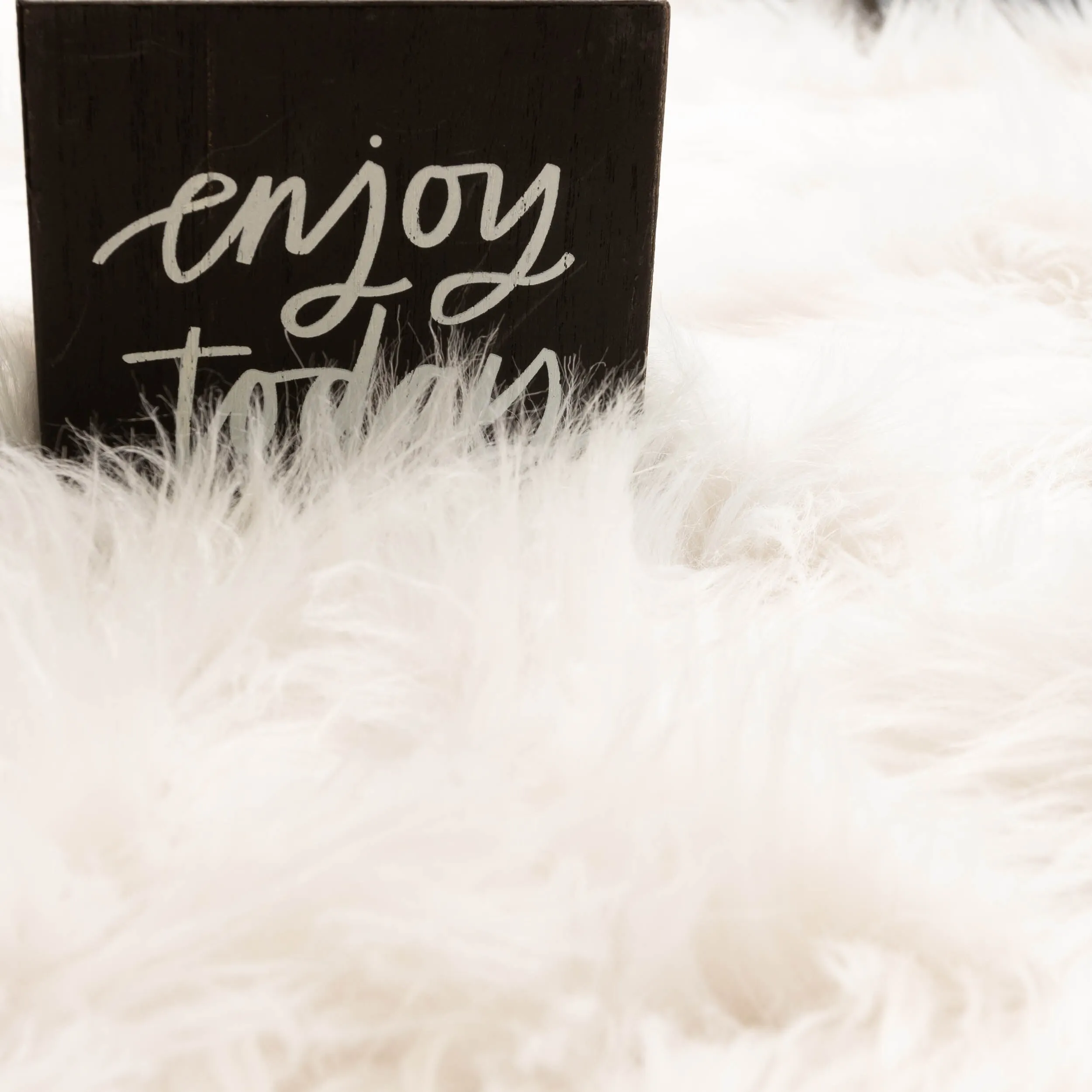 Silver Orchid Parrott Faux Fur Sheepskin Area Rug