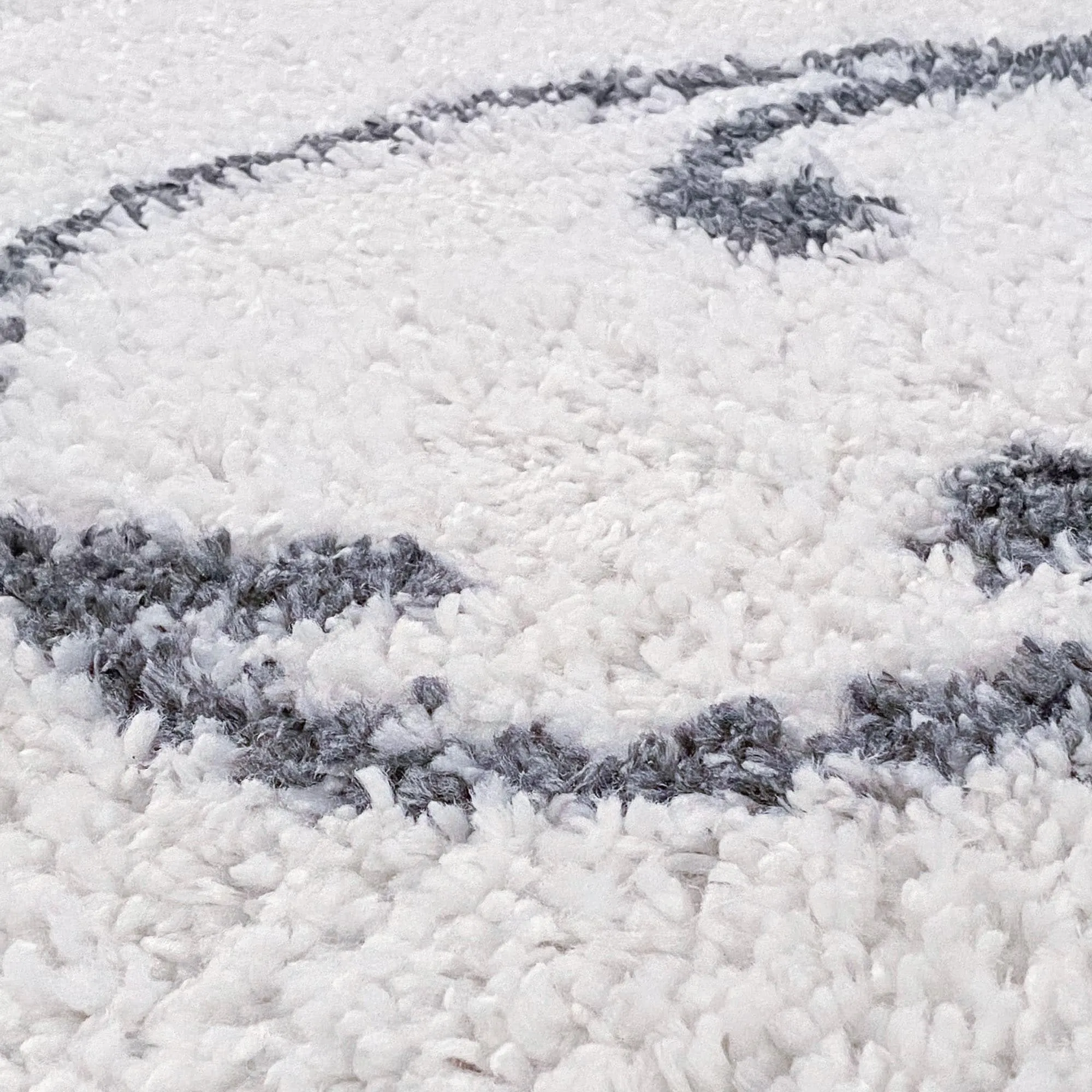 Sohni Shag Farmhouse Floral Indoor Area Rug