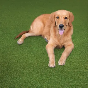 Style Haven EZ Care Artificial Turf Indoor/Outdoor Pet Friendly Area Rug