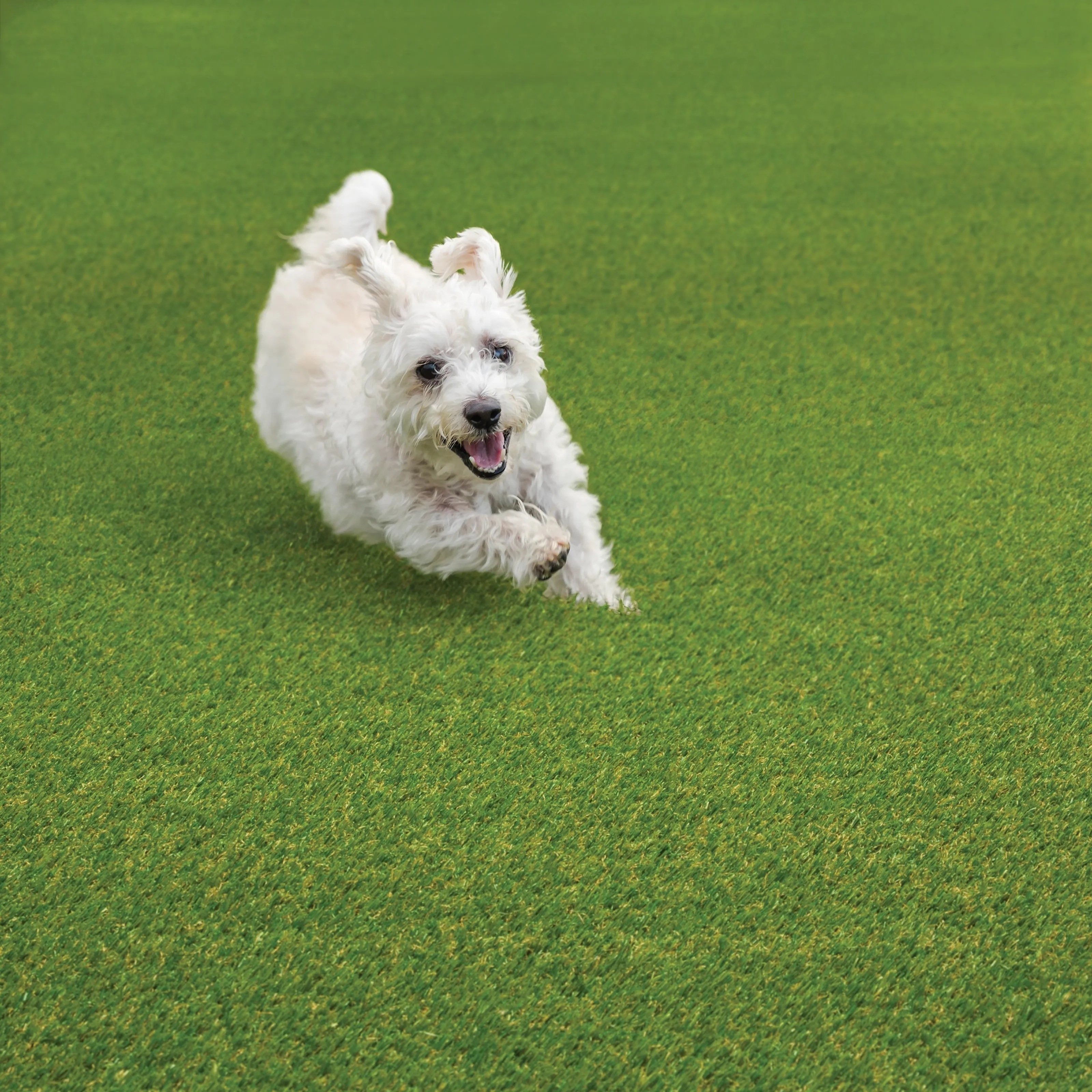 Style Haven EZ Care Artificial Turf Indoor/Outdoor Pet Friendly Area Rug