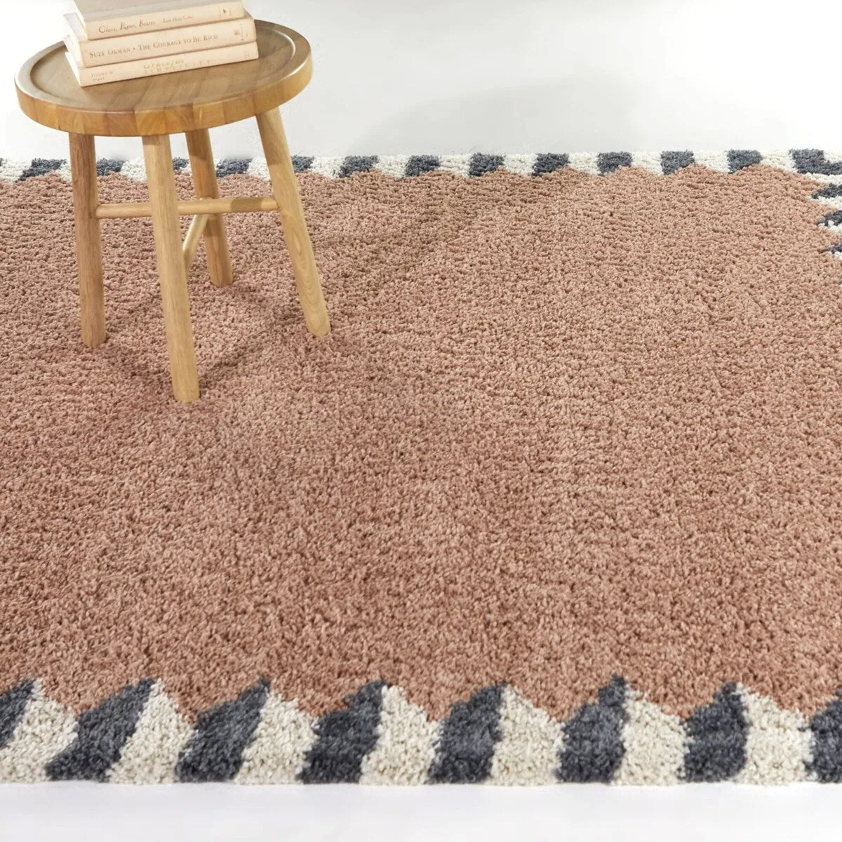 Vasile Border Shag Area Rug