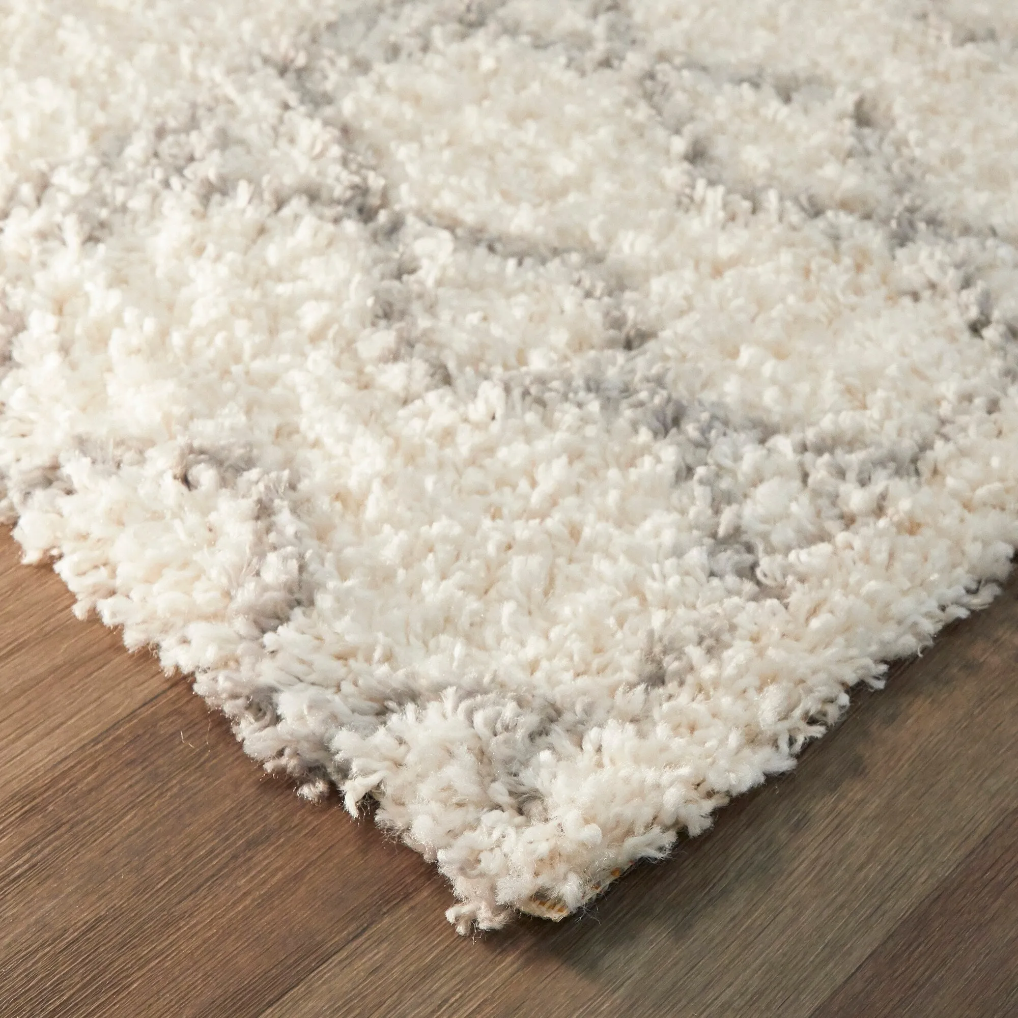 Wilkins Moroccan Shag Area Rug