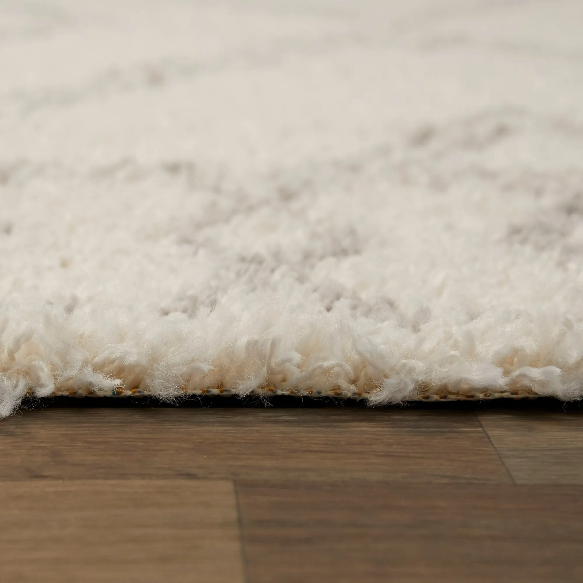Wilkins Moroccan Shag Area Rug
